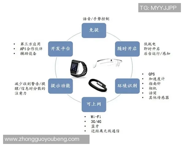 法国足球甲级联赛历史变迁与未来发展趋势分析