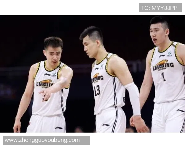 陕西CBA球队:陕西队的历史成就与未来规划