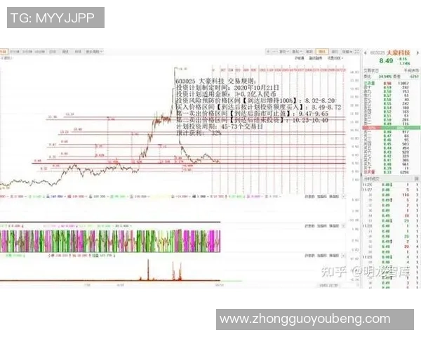 广州羽毛球队运营分析:成功经验与面临挑战的深度探讨 广州羽毛球队运营分析:成功经验与面临挑战的深度探讨